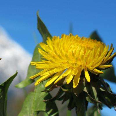 bob体体育app下载